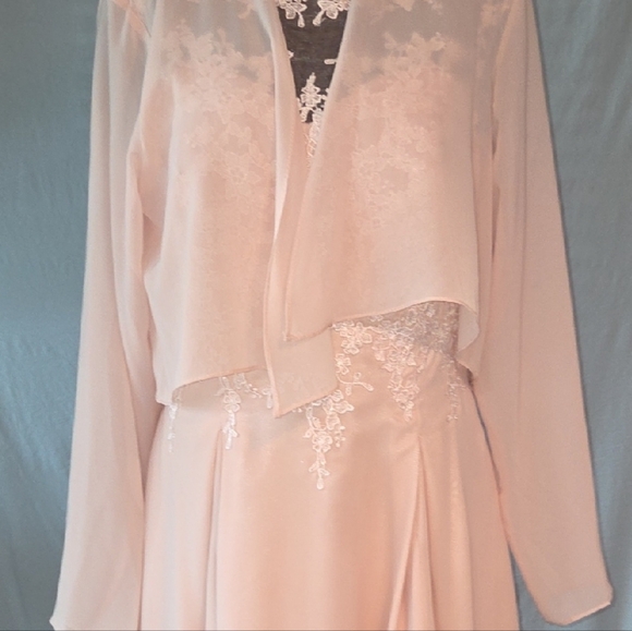 Elegant Lace Overlay Pink Dress - Picture 6 of 8